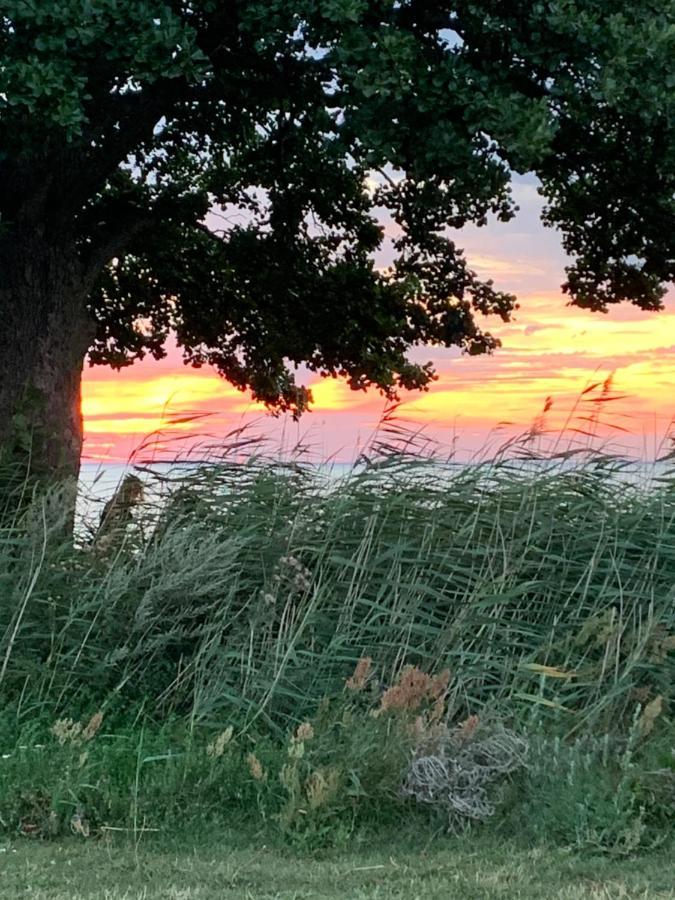 Veras Veranda I Koepingsvik Buitenkant foto